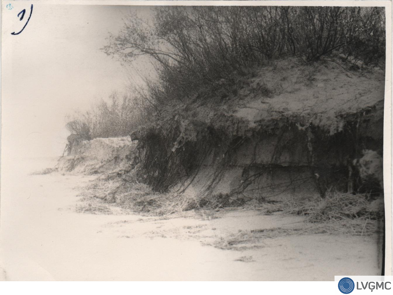 1967. gada 17.–18. oktobra vētras postījumu fotogrāfijas no LVĢMC arhīva