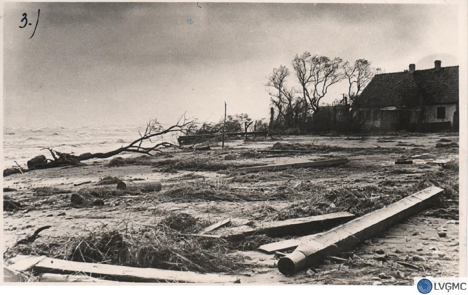 1967. gada 17.–18. oktobra vētras postījumu fotogrāfijas no LVĢMC arhīva
