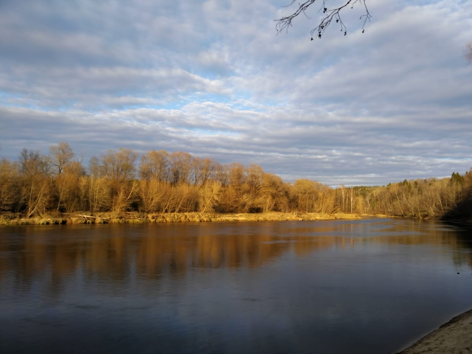 Gauja pie Rāmkalniem, 20.04.2019. Foto: R. Klints.