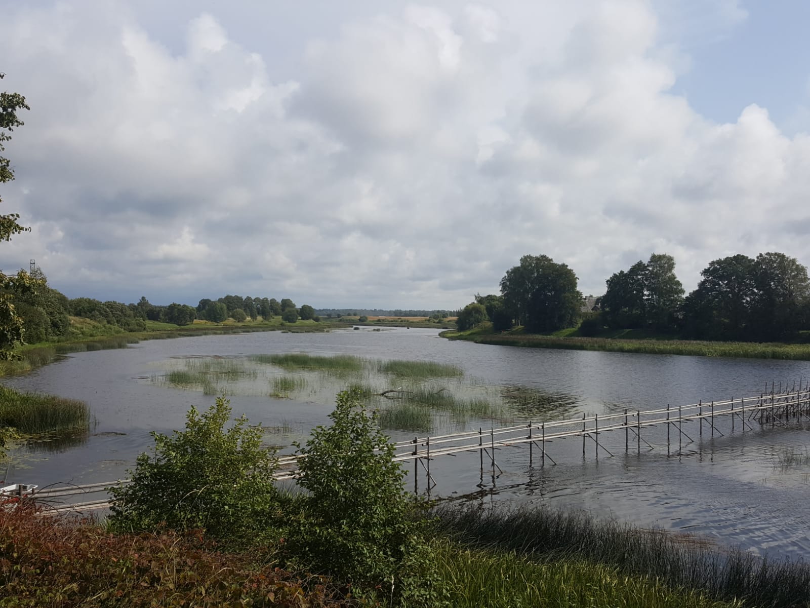 Salaca pie Salacgrīvas, 09.08.2019. Foto: I. Latkovska.