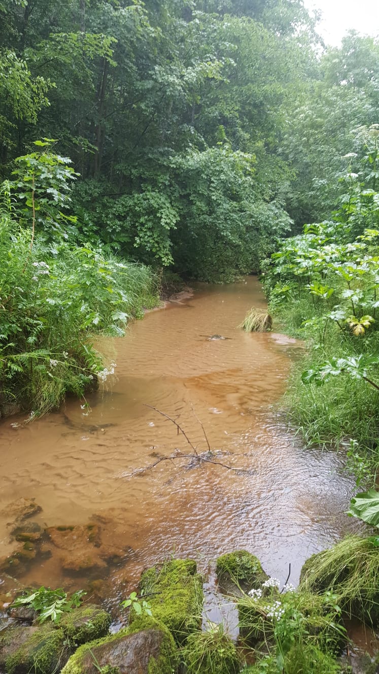 Vaive pie Dāvida dzirnavu avotiem, 03.07.2019. Foto: I. Latkovska.