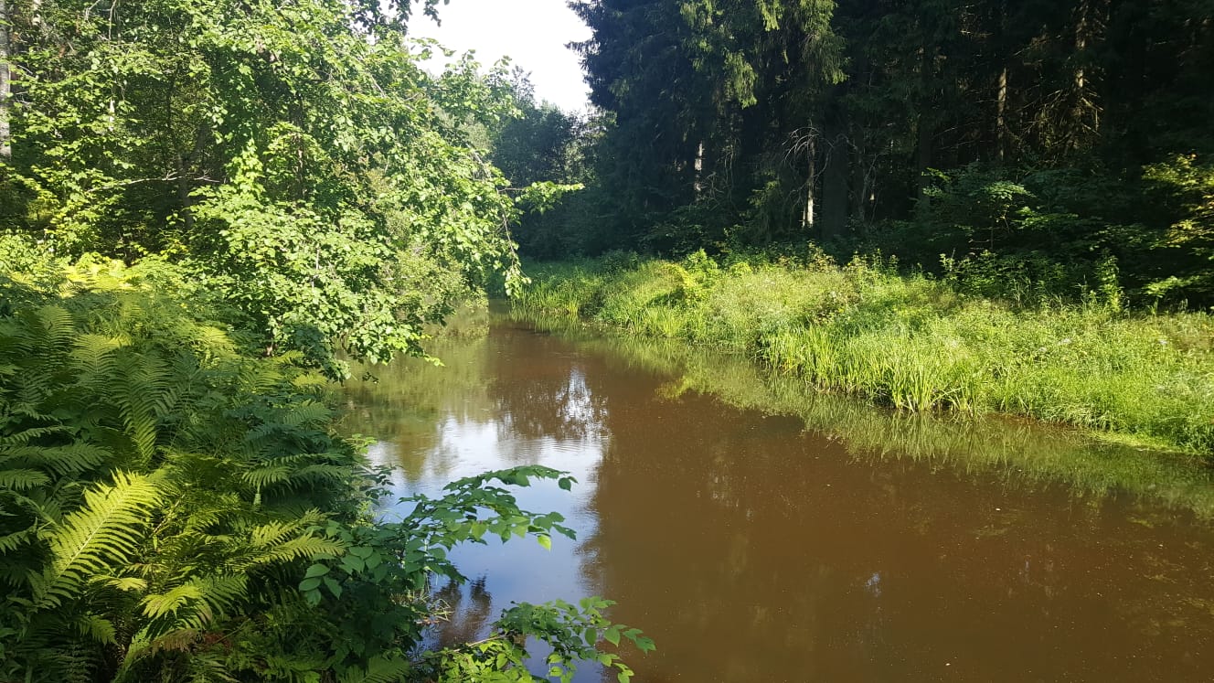 Brasla pie Vējiņu pazemes ezeriem, 24.07.2019. Foto: I. Latkovska.