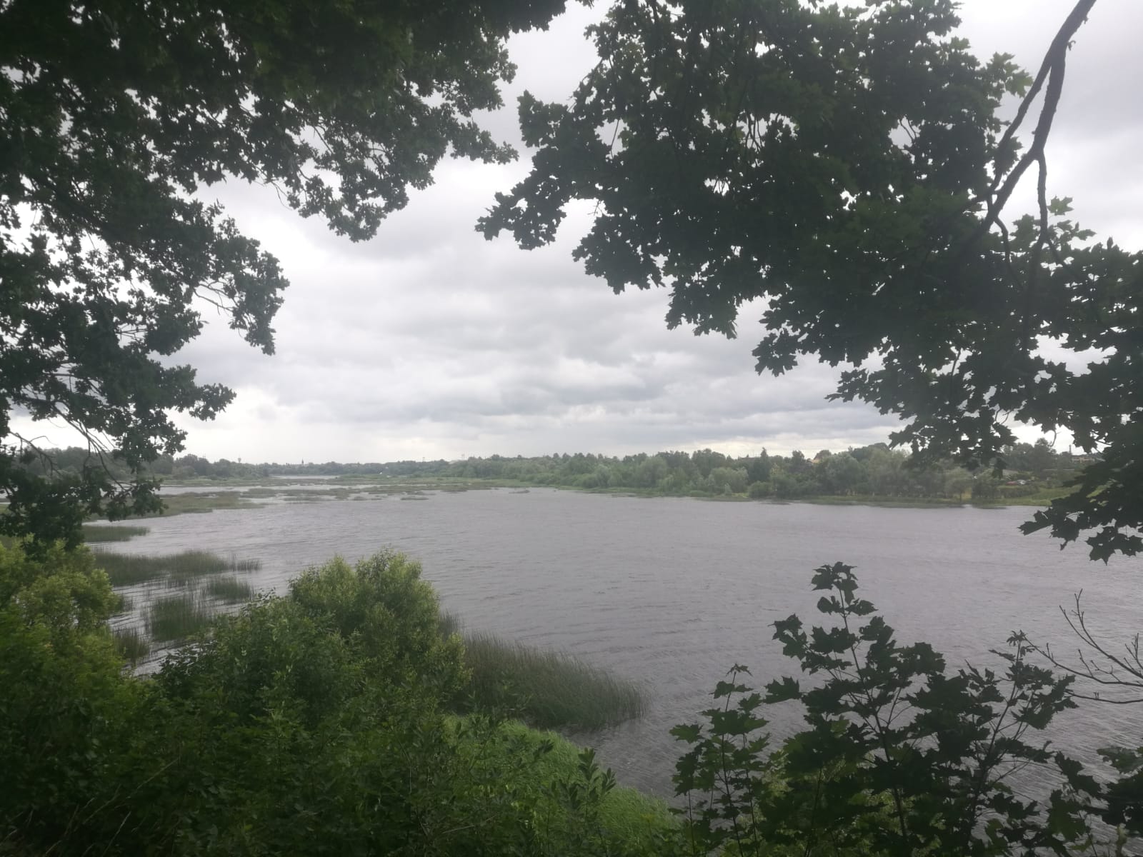 Daugava pie Doles salas, 27.06.2019. Foto: I.Rudlapa.