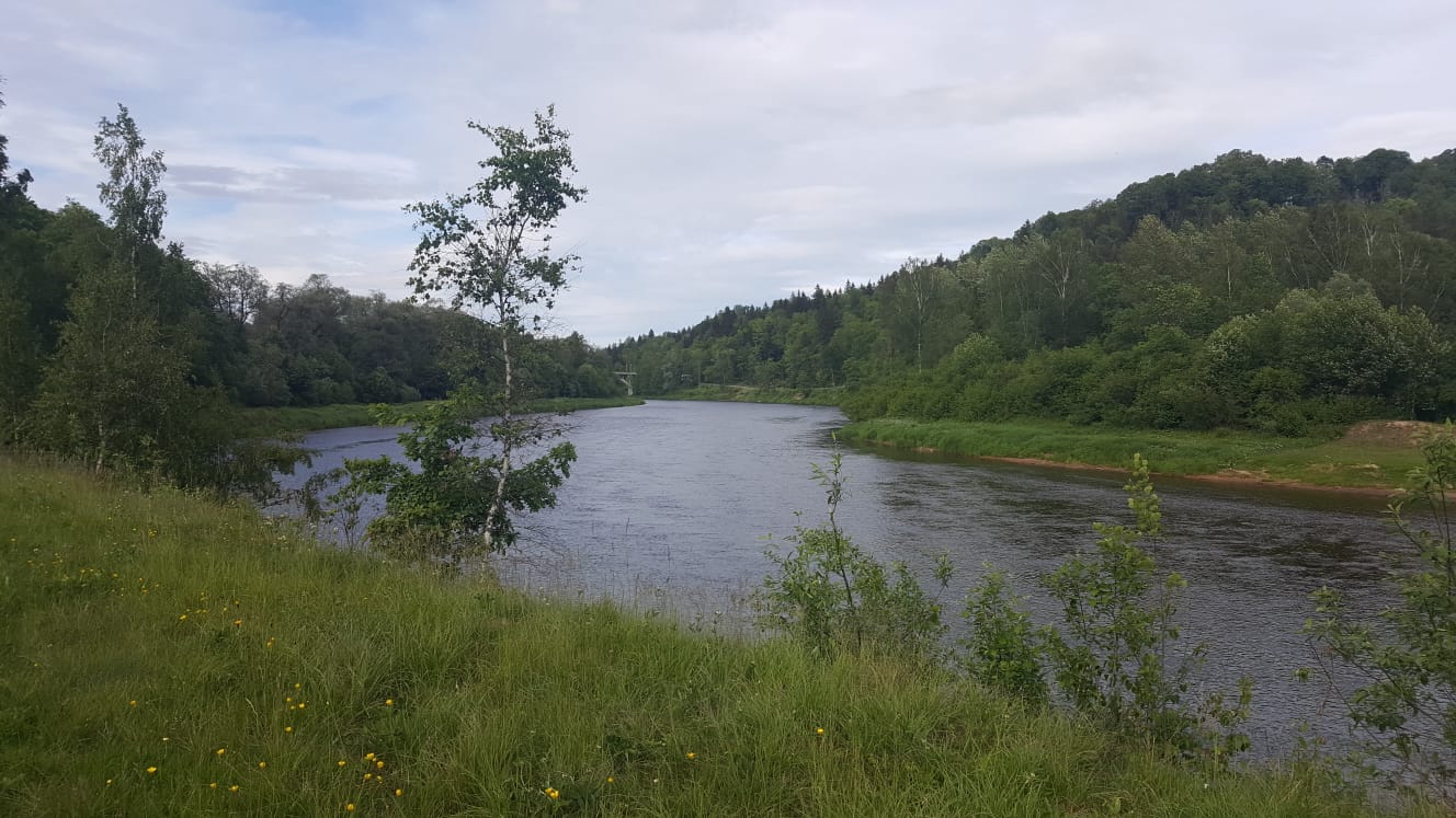 Gauja pie Siguldas, 01.06.2019. Foto: I. Latkovska.