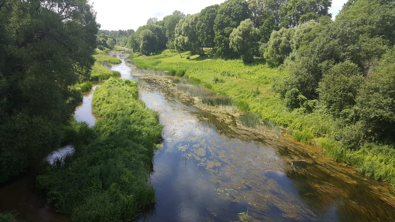 Bārta, 27.06.2019. Foto: I. Latkovska.