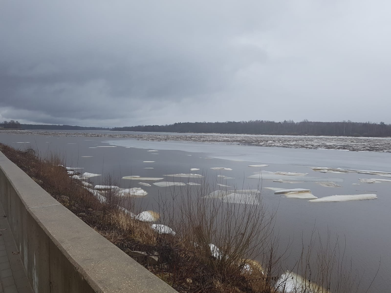 Daugava pie Pļaviņām 2019. gada 10. martā (foto: L. Krūmiņa).