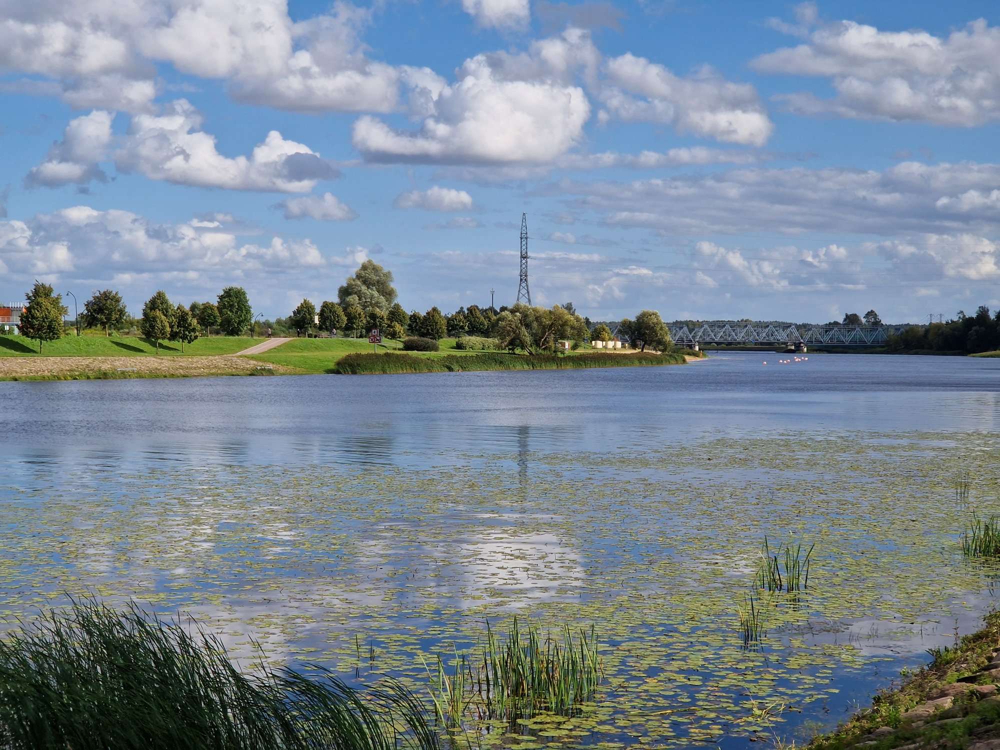 Lielupe pie Jelgavas, 10.08.2019. Foto: D. Hudjakova.