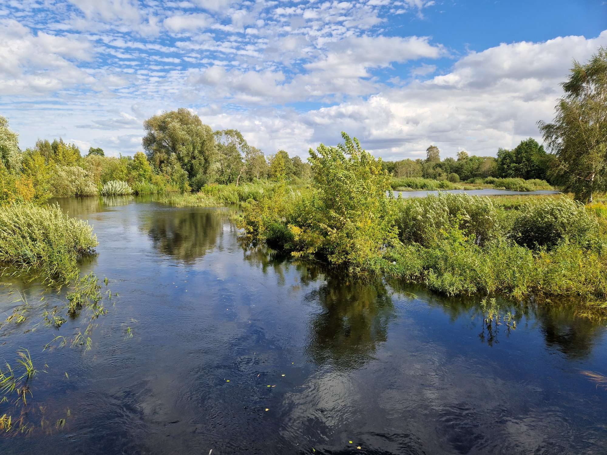 Svēte pie Jelgavas (tilts pār Svēti), 10.08.2024. Foto: D. Hudjakova.