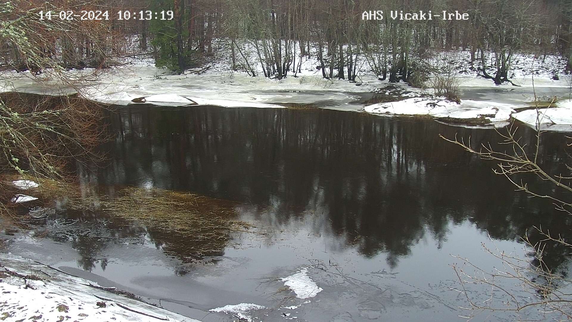 Irbe pie Vičakiem, 14.02.2024.
