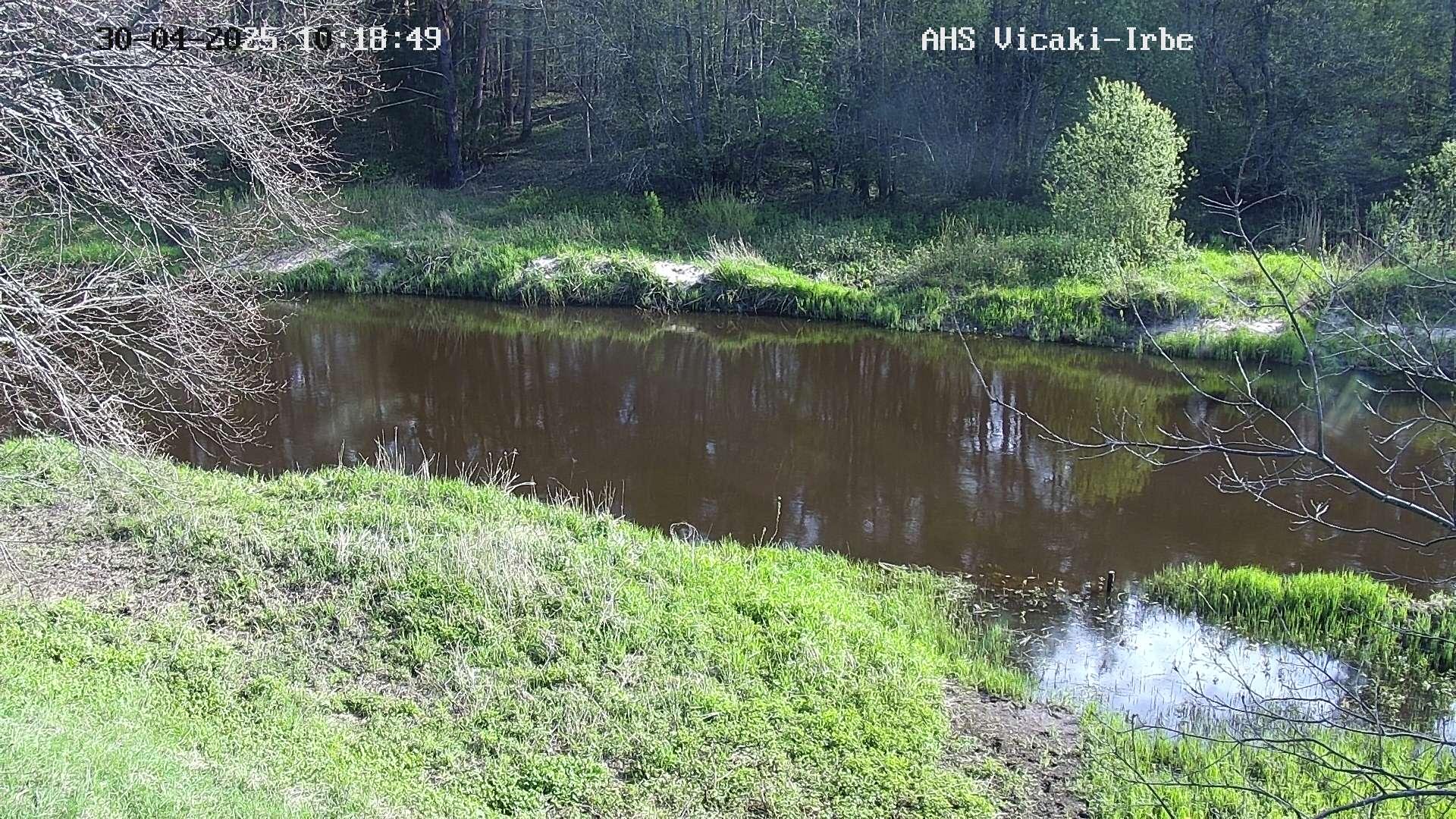 Irbe pie Vičakiem, 30.04.2025.