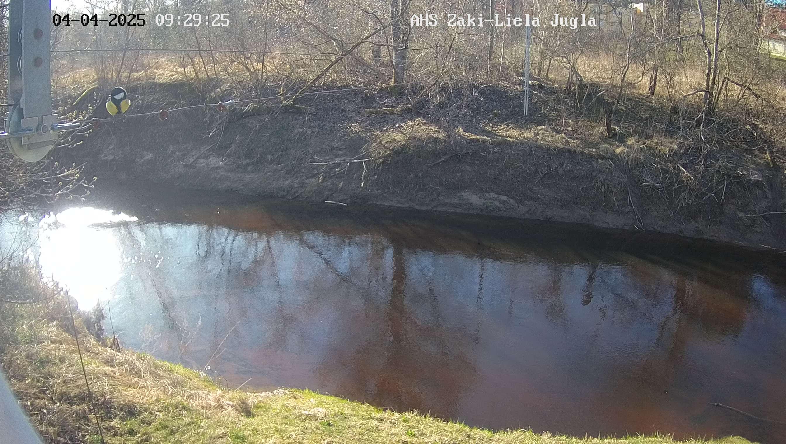 Lielā Jugla pie Zaķiem, 04.04.2025.