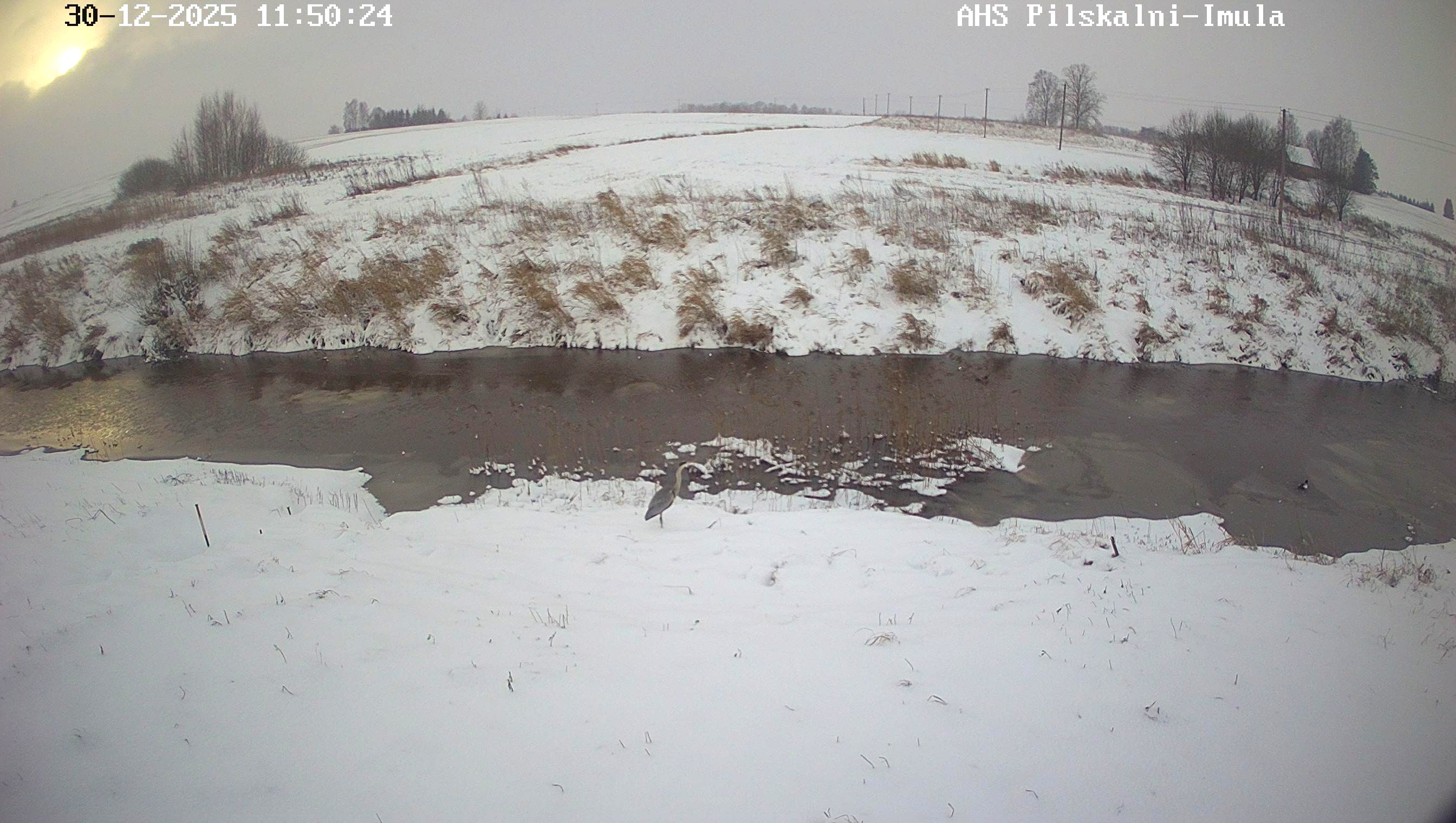Imula pie Pilskalniem, 30.12.2025.