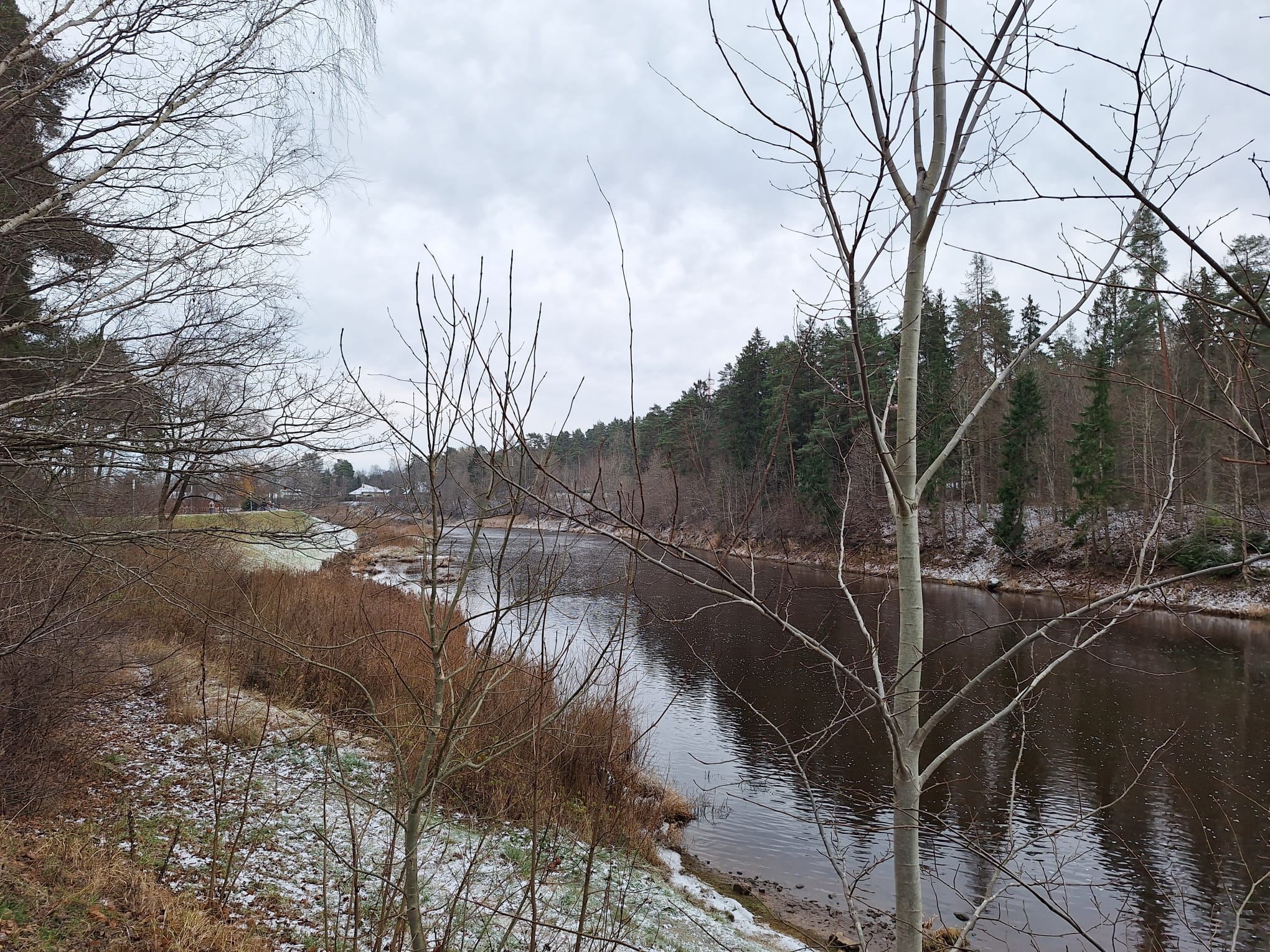 Ogre pie Ogres, 23.11.2025. Foto: L. Klints.