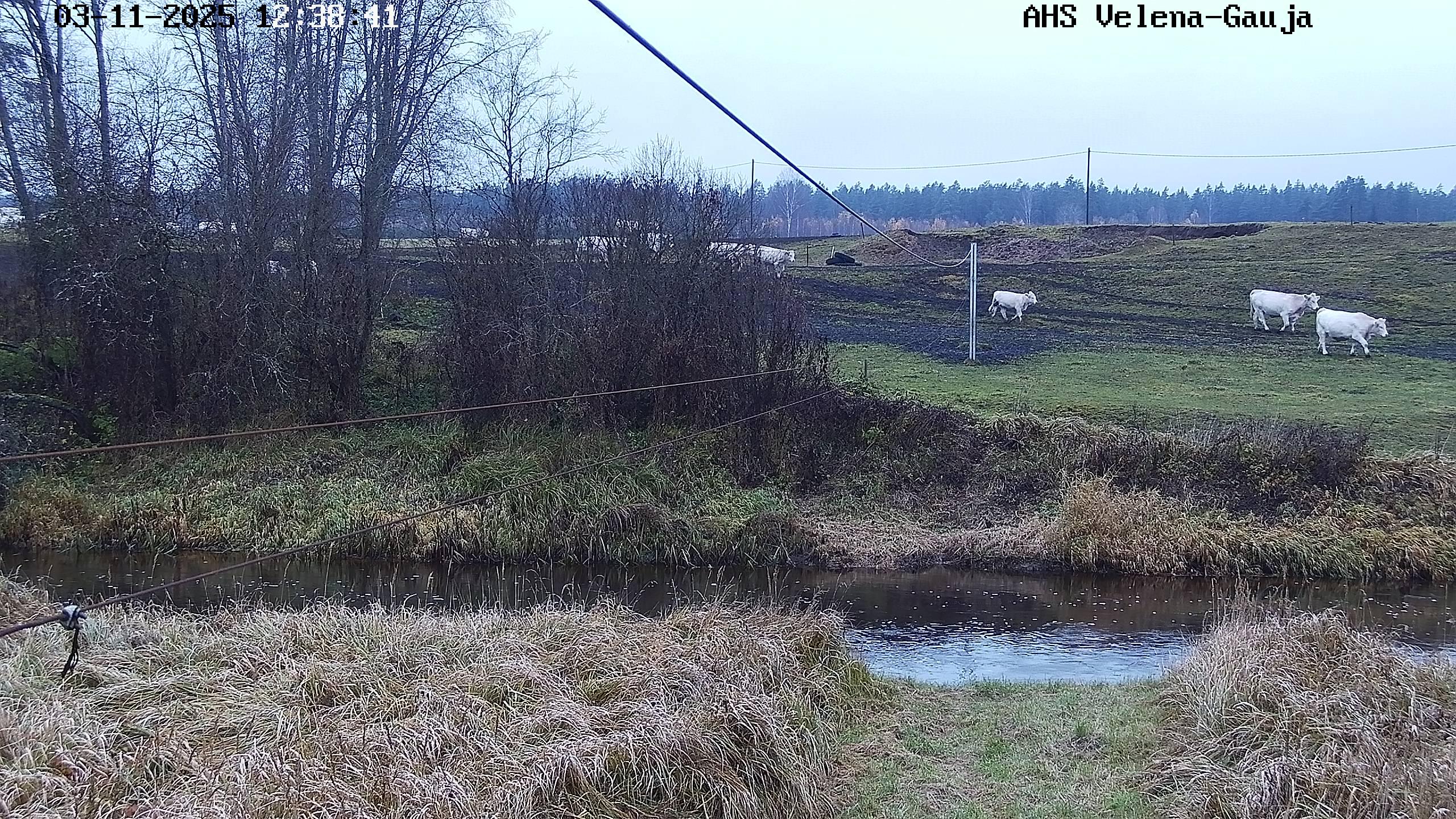 Gauja pie Velēnas, 03.11.2025.