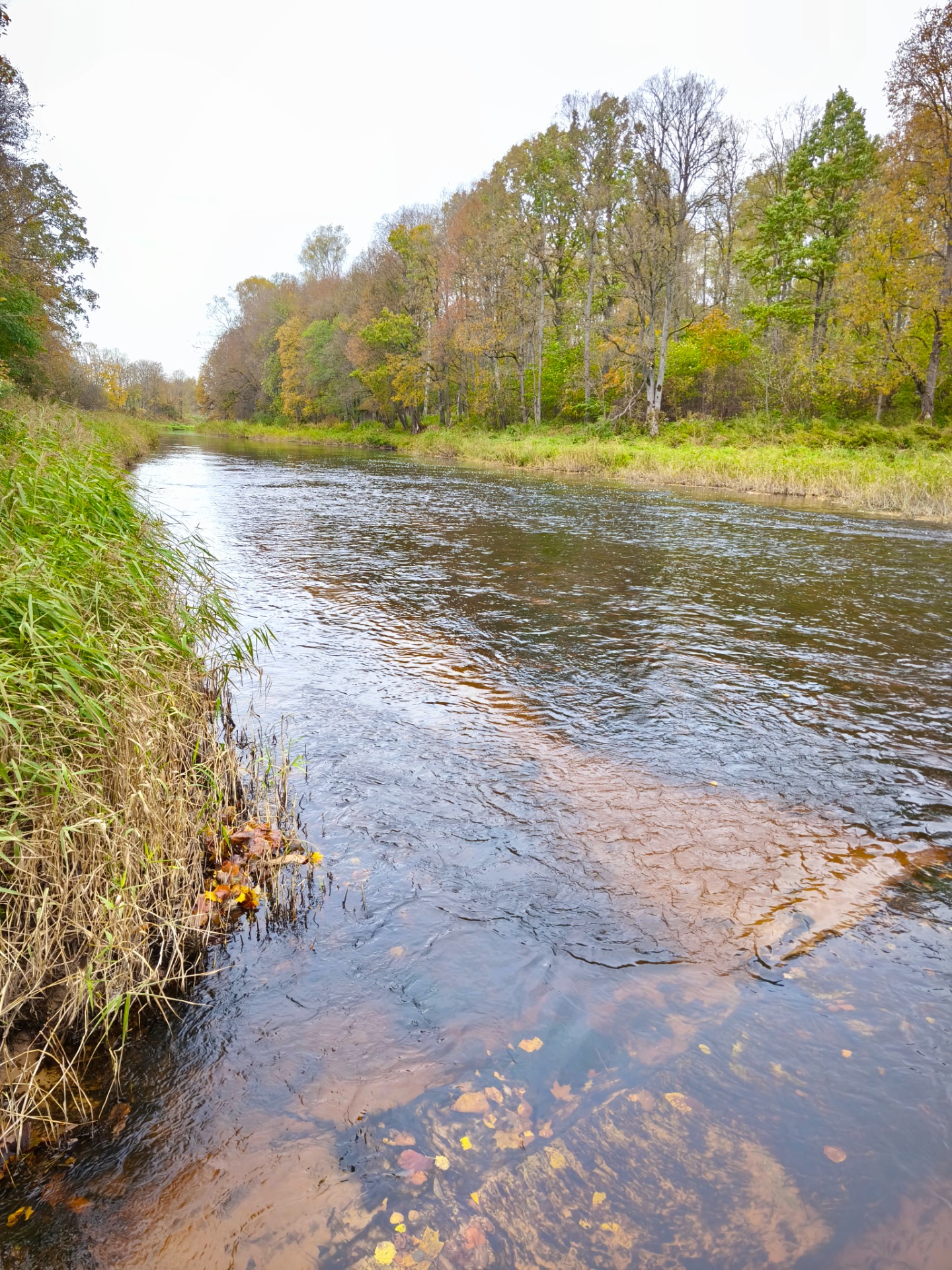 Ogre pie Lielpēčiem, 22.10.2025. Foto: A. Rode.