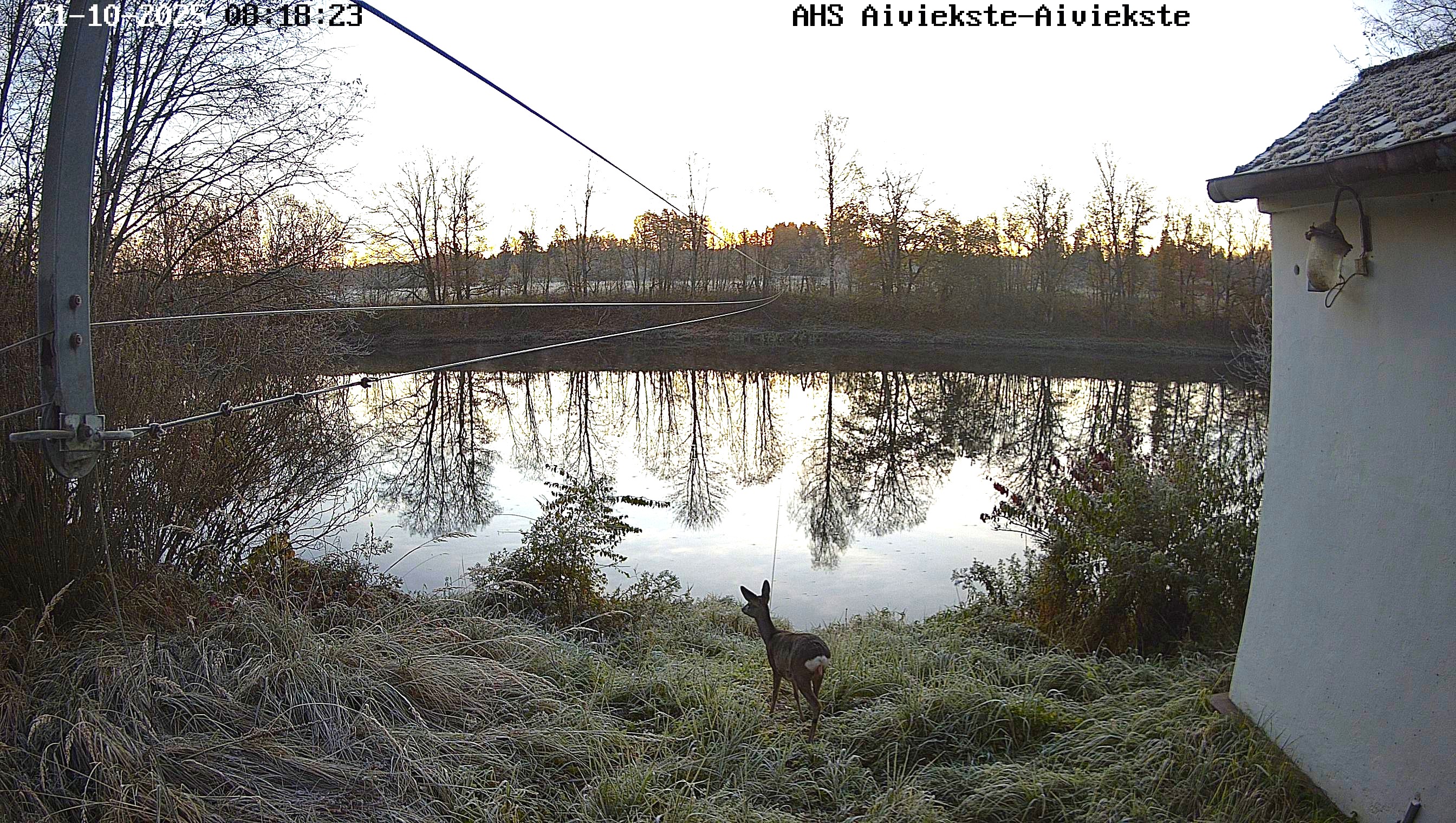 Aiviekste pie Aiviekstes HES, 21.10.2025.