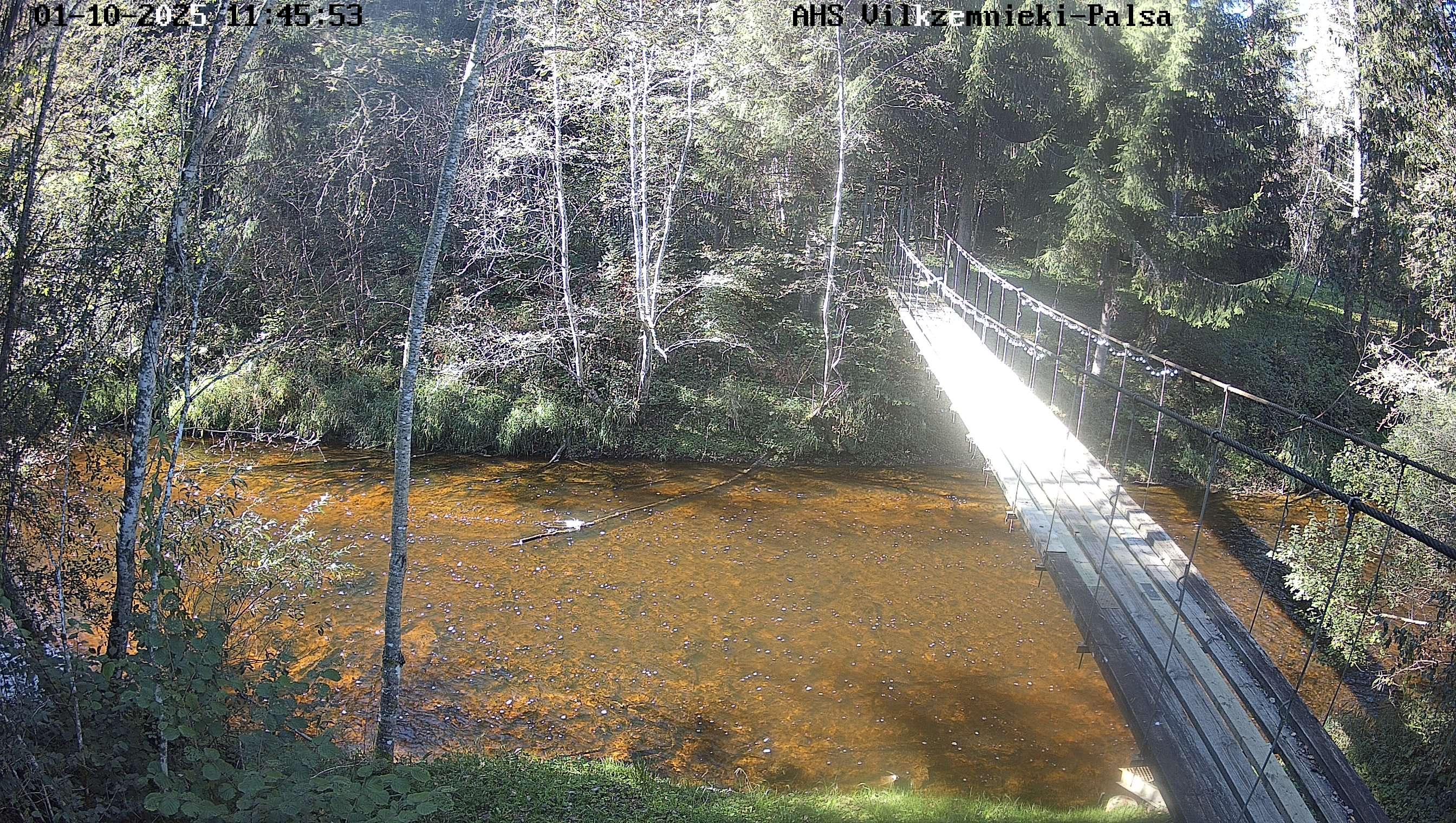 Vecpalsa pie Vilkzemniekiem, 01.10.2025.