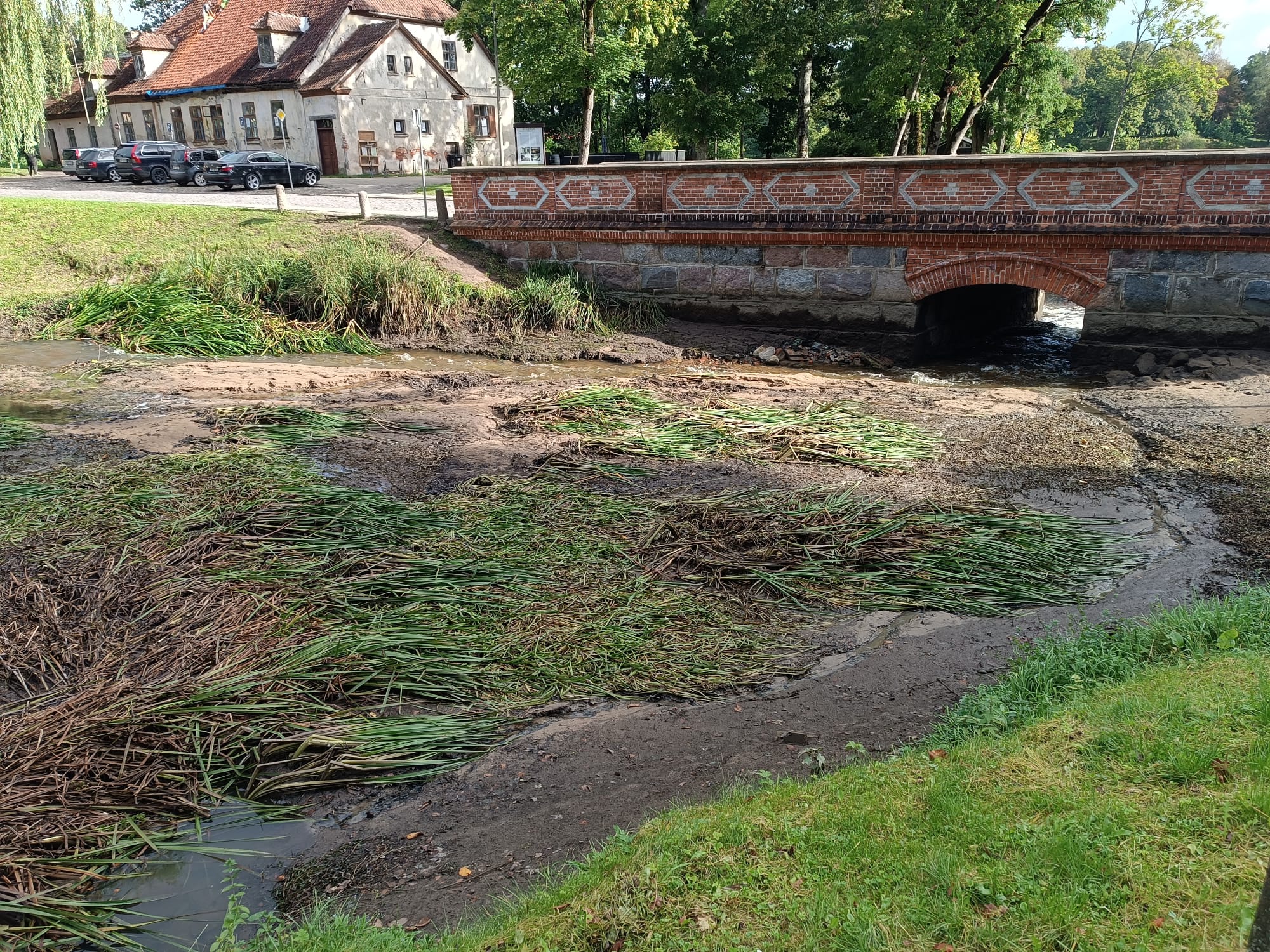 Alekšupīte Kuldīgā, 18.09.2025. Foto: G. Klints.