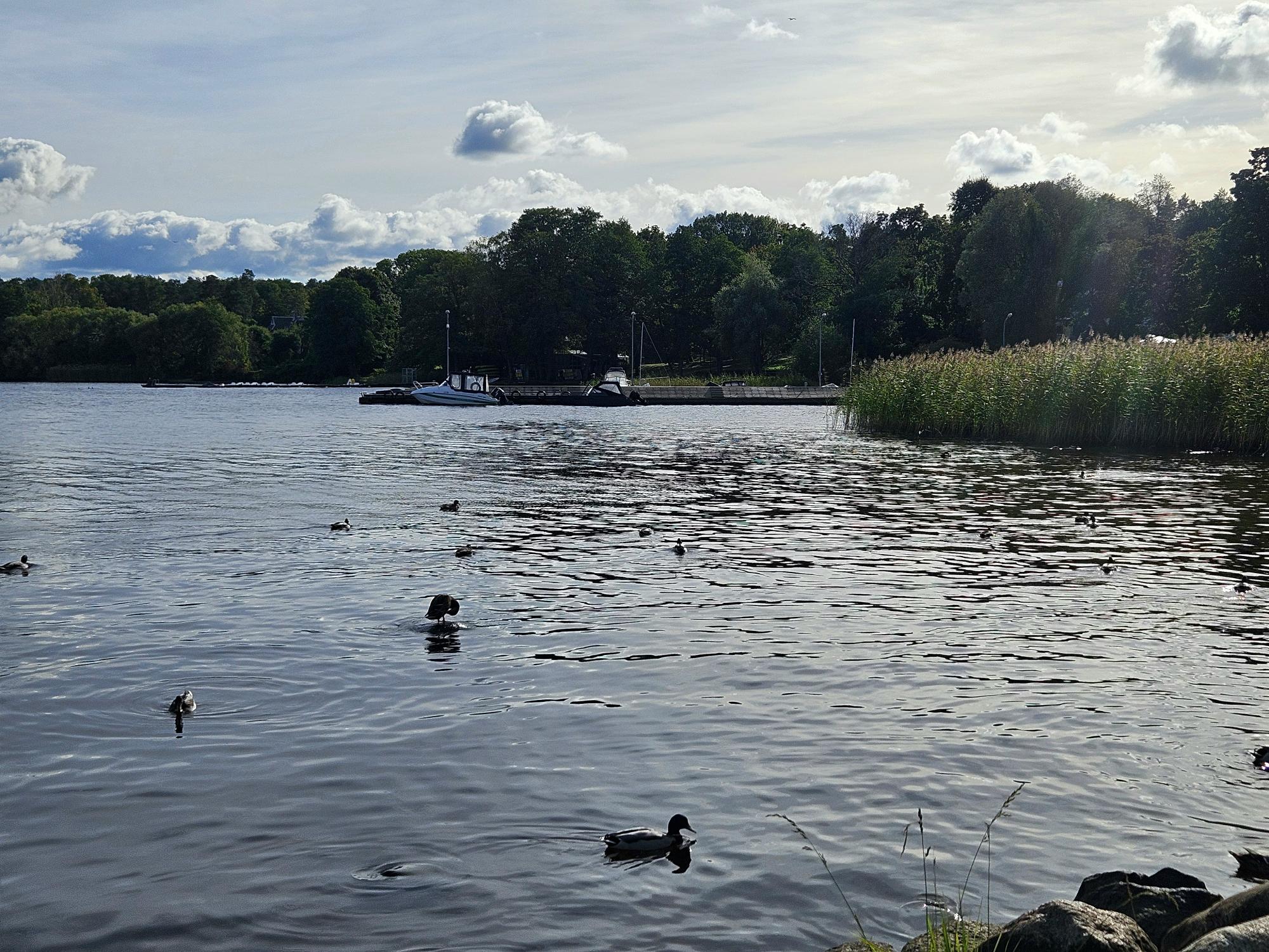 Ķīšezers, 27.09.2025. Foto: D. Hudjakova.