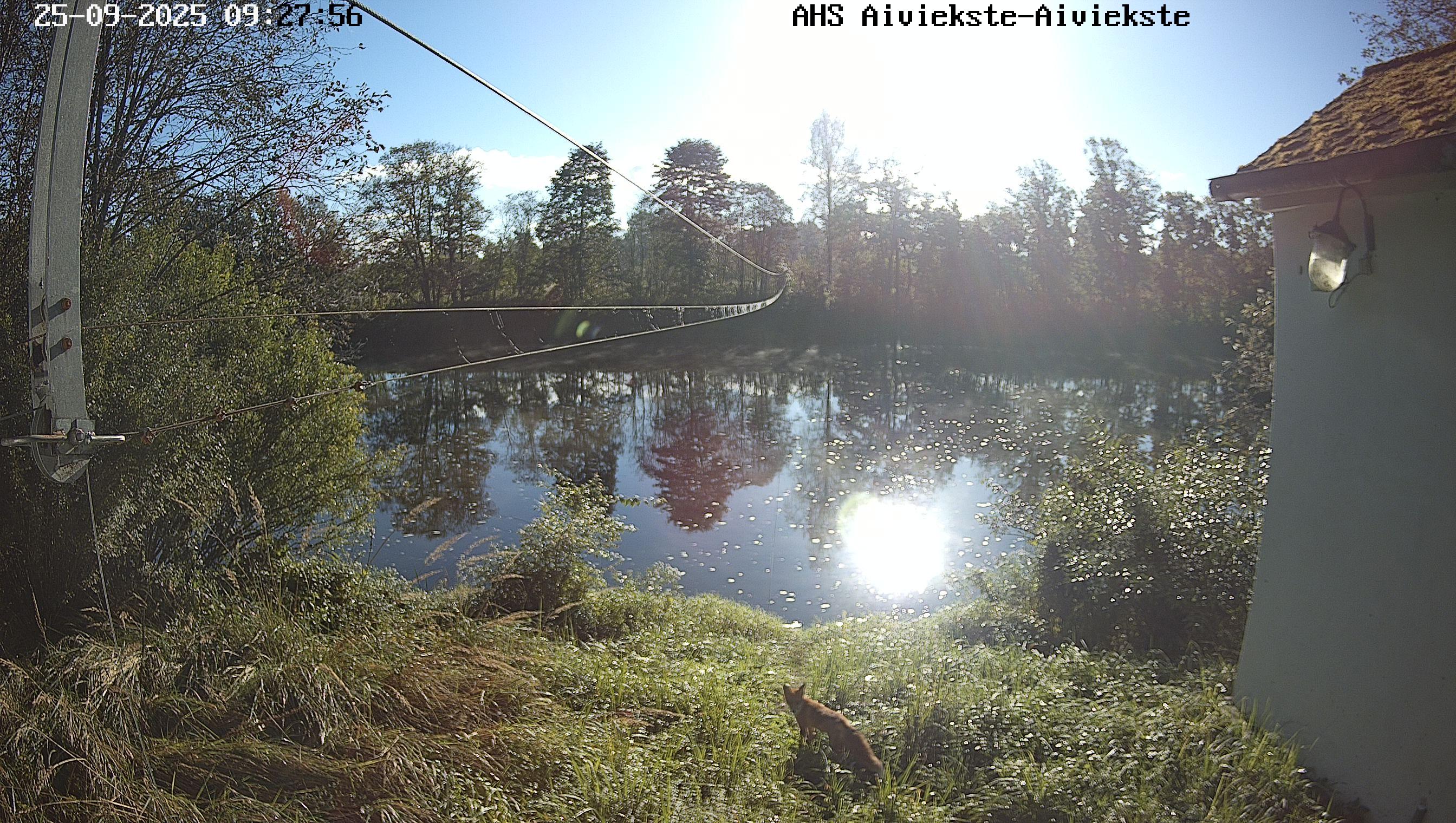 Aiviekste pie Aiviekstes HES, 25.09.2025.
