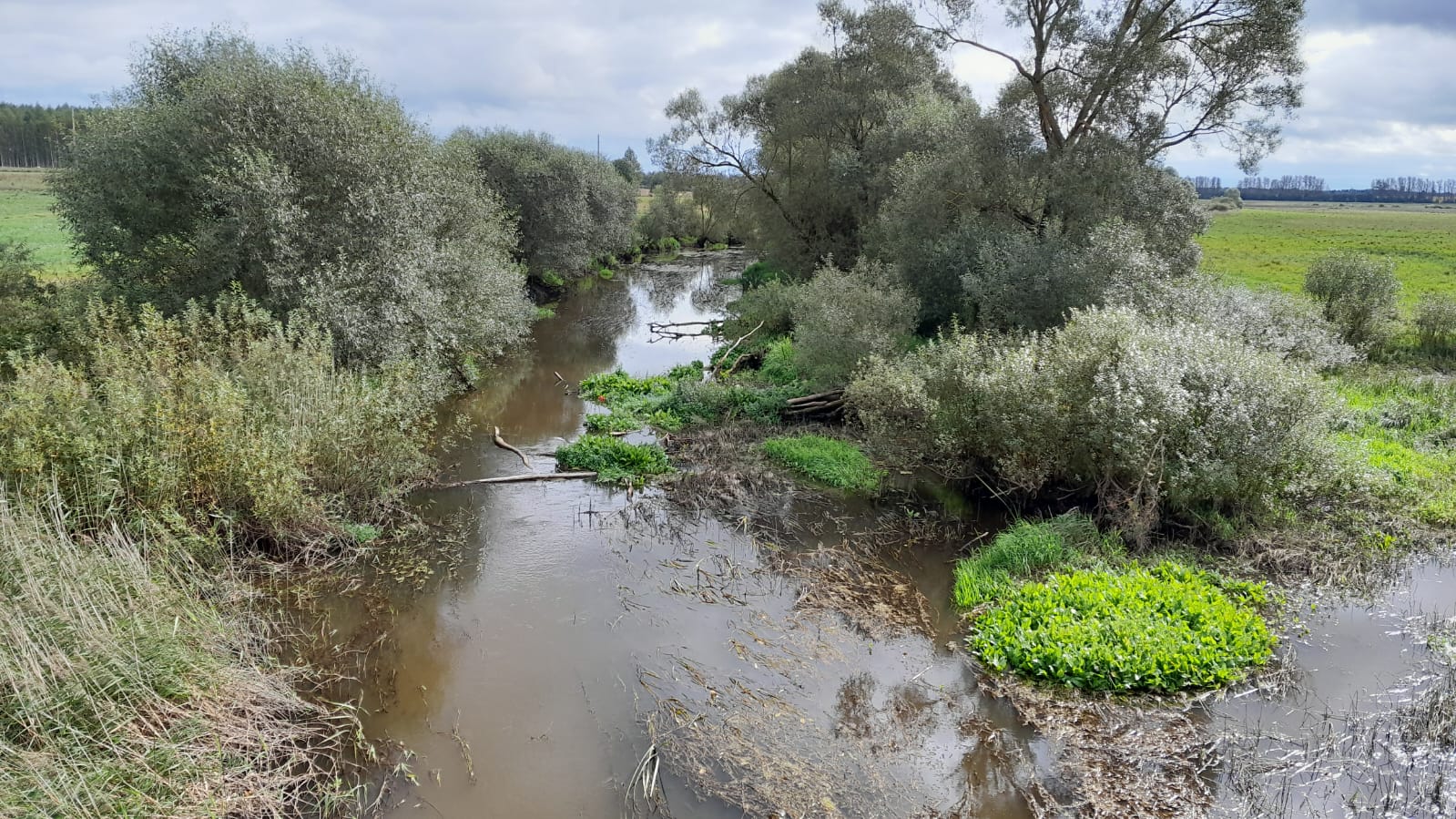 Rītupe pie Lozdovas, 18.09.2025. Foto: V. Kudrjavskis.