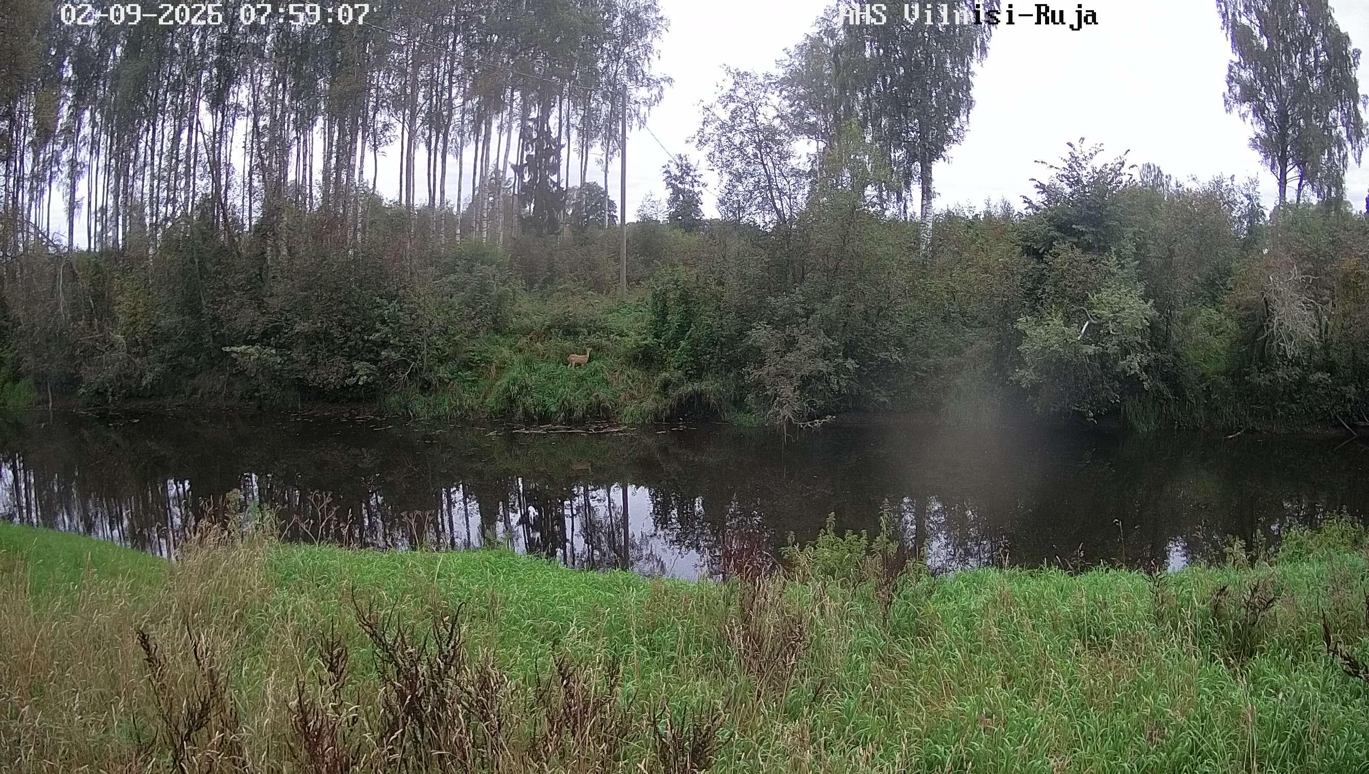 Rūja pie Vilnīšiem, 02.09.2025.