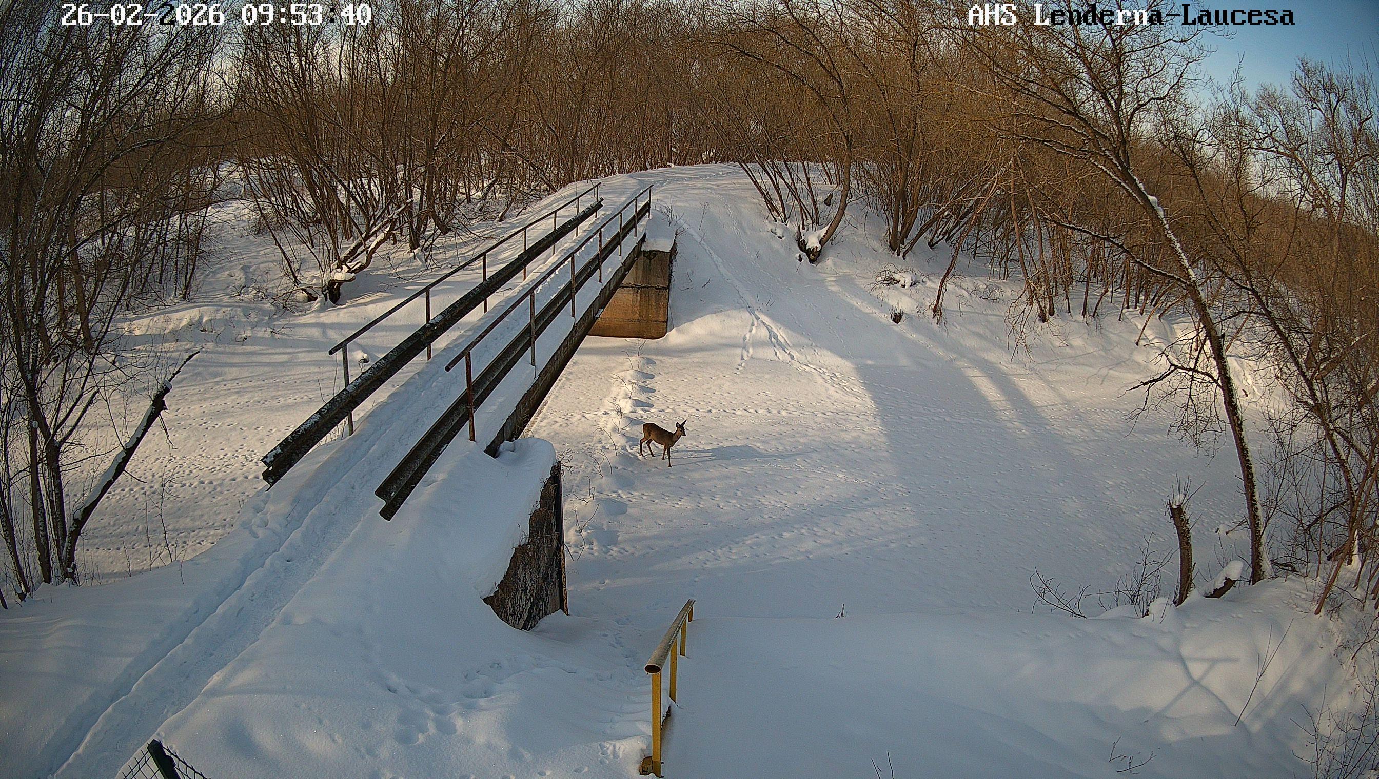Laucesa pie Lenderņas, 26.02.2026.