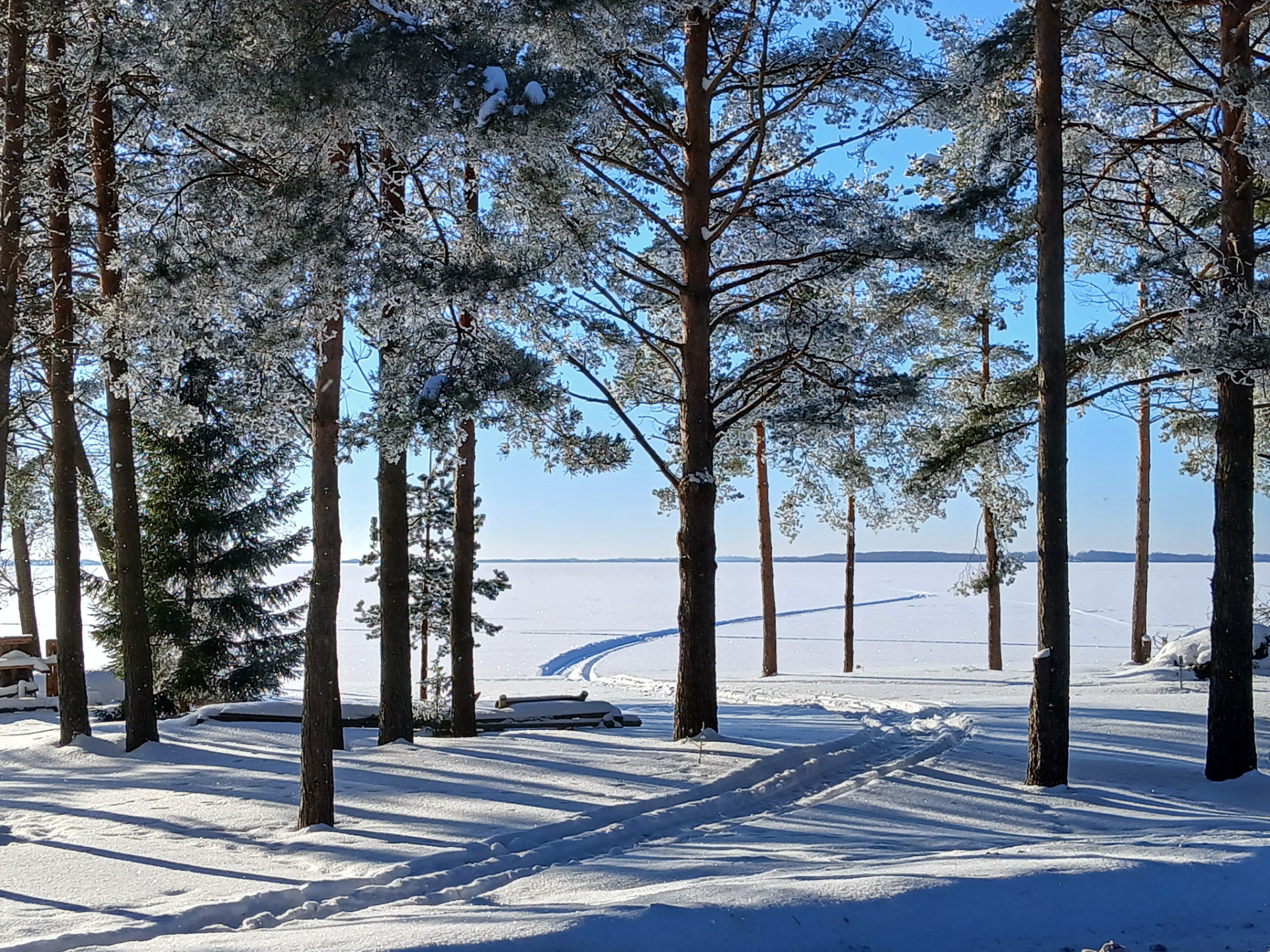 Rāznas ezers, 09.02.2026. Foto: V. Kudrjavskis.