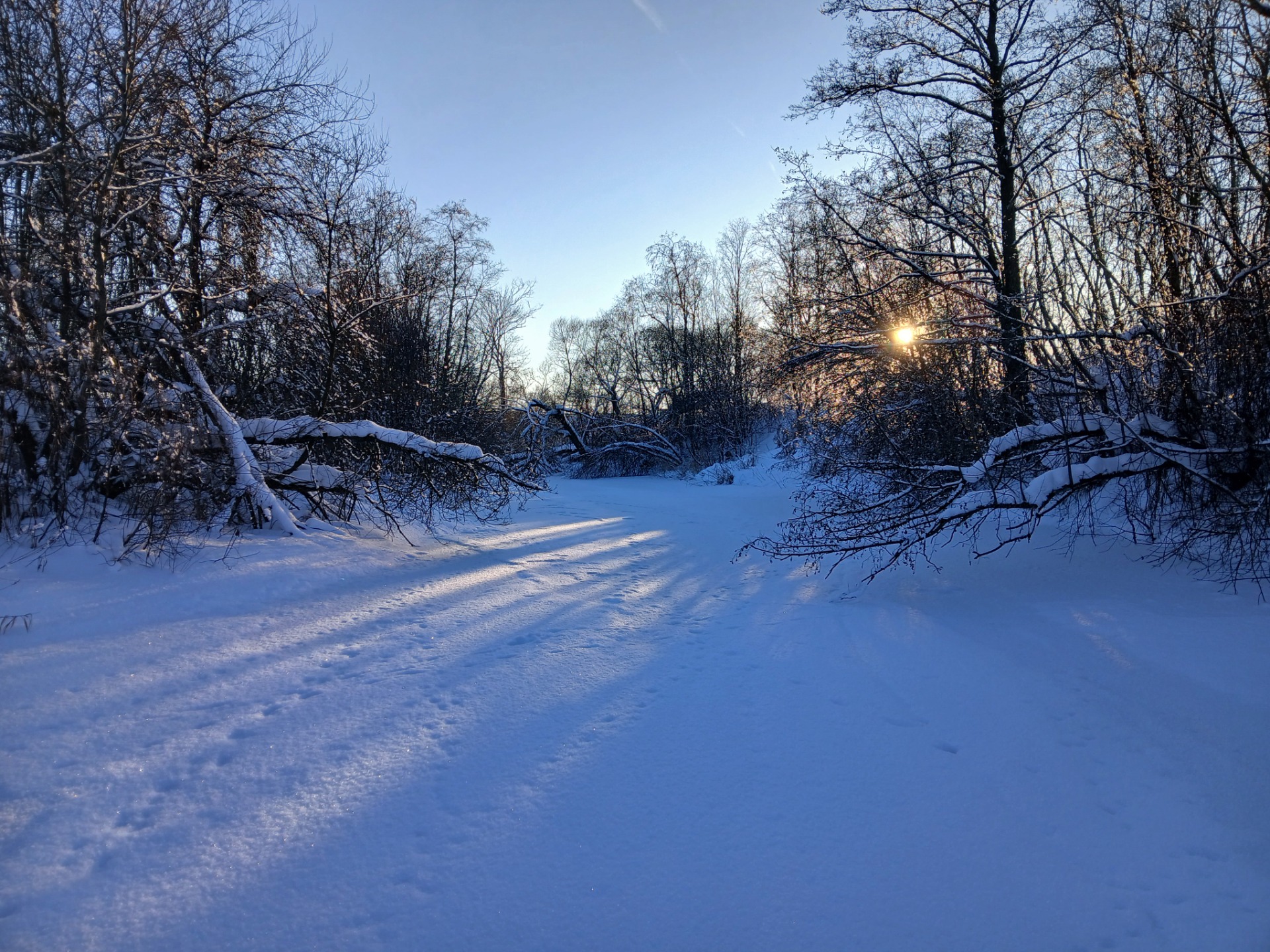 Rēzekne pie Griškāniem, 09.02.2026. Foto: V. Kudrjavskis.