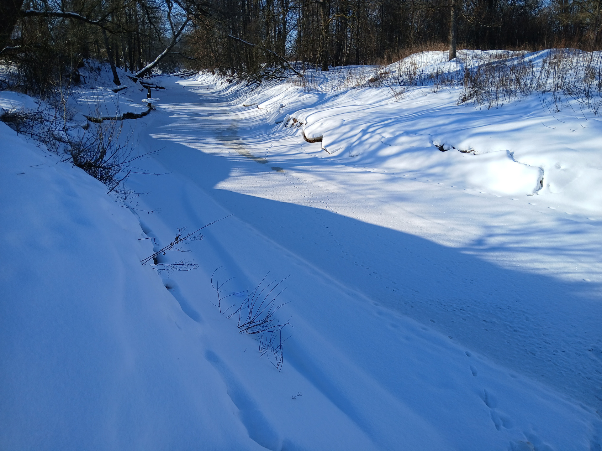 Misa pie Lielveisiem, 09.02.2026. Foto: A. Bernaus.