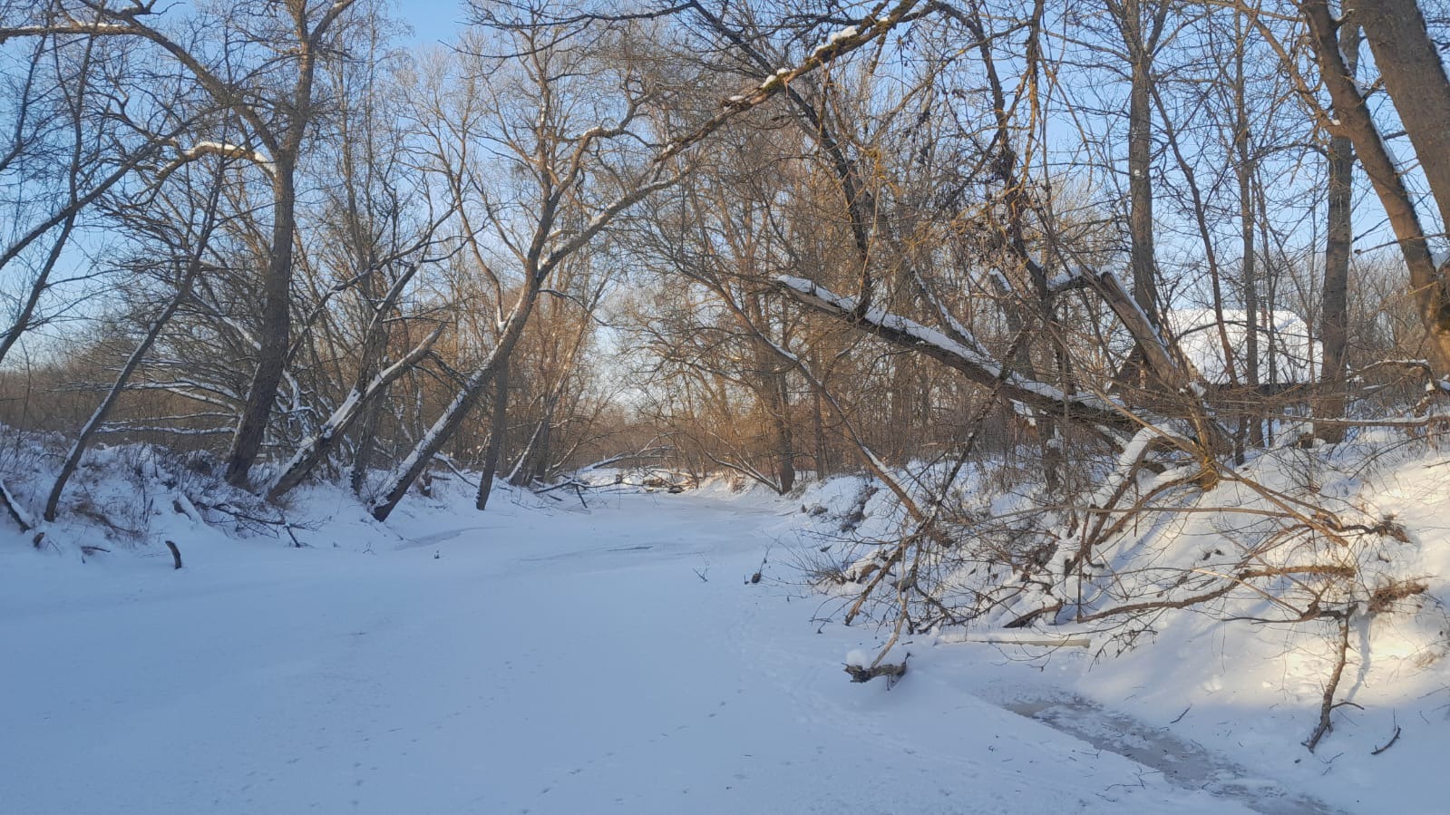 Laucesa pie Lenderņas, 21.01.2026. Foto: V. Kudrjavskis.