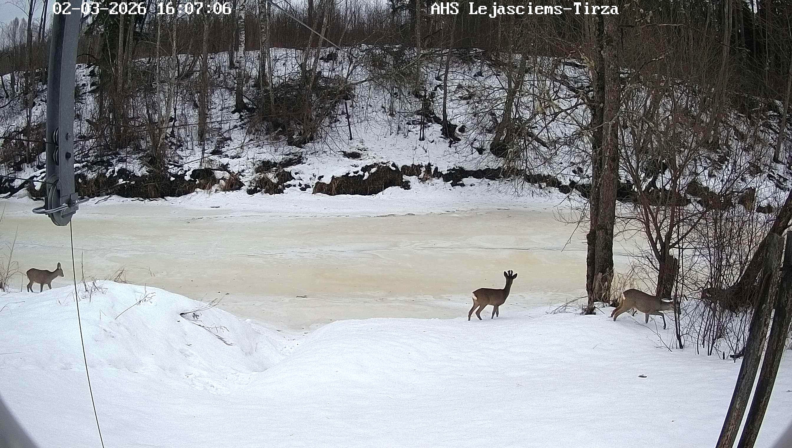 Tirza pie Lejasciema, 02.03.2026.