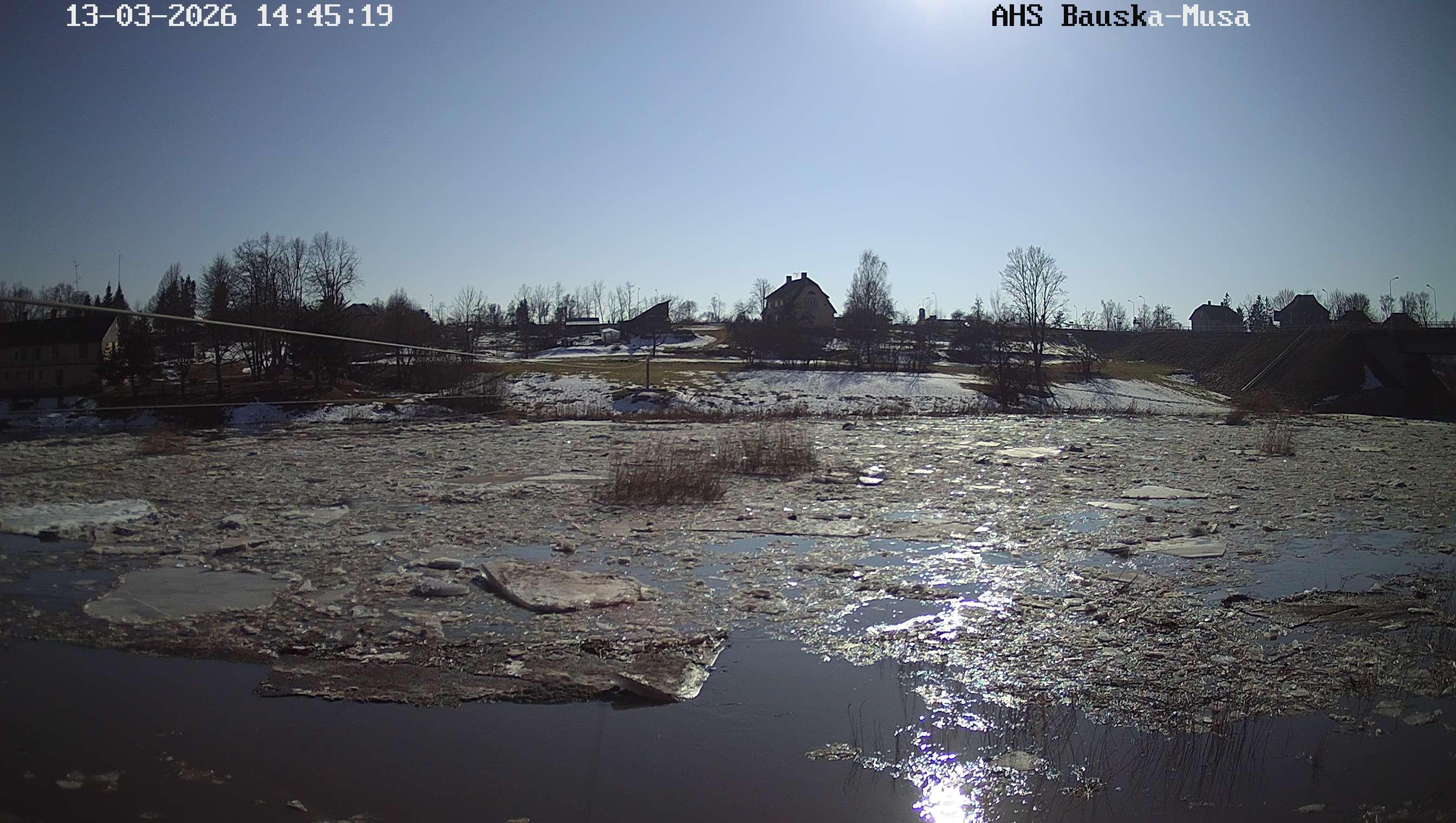 Mūsa pie Bauskas, 13.03.2026.