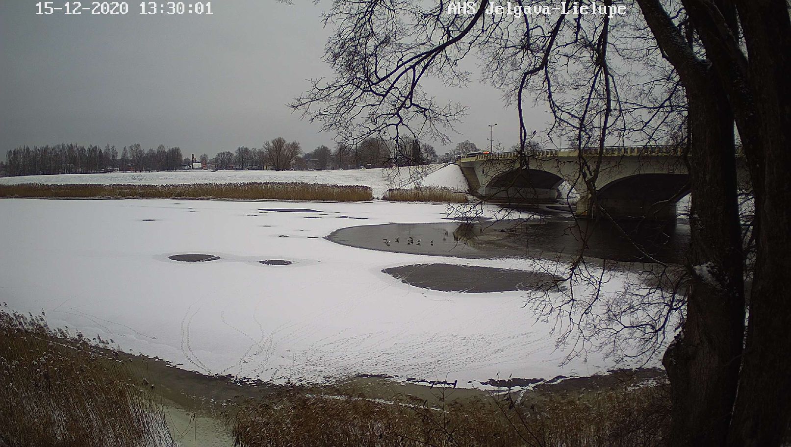 Ledus Lielupē pie Jelgavas, 15.12.2020.