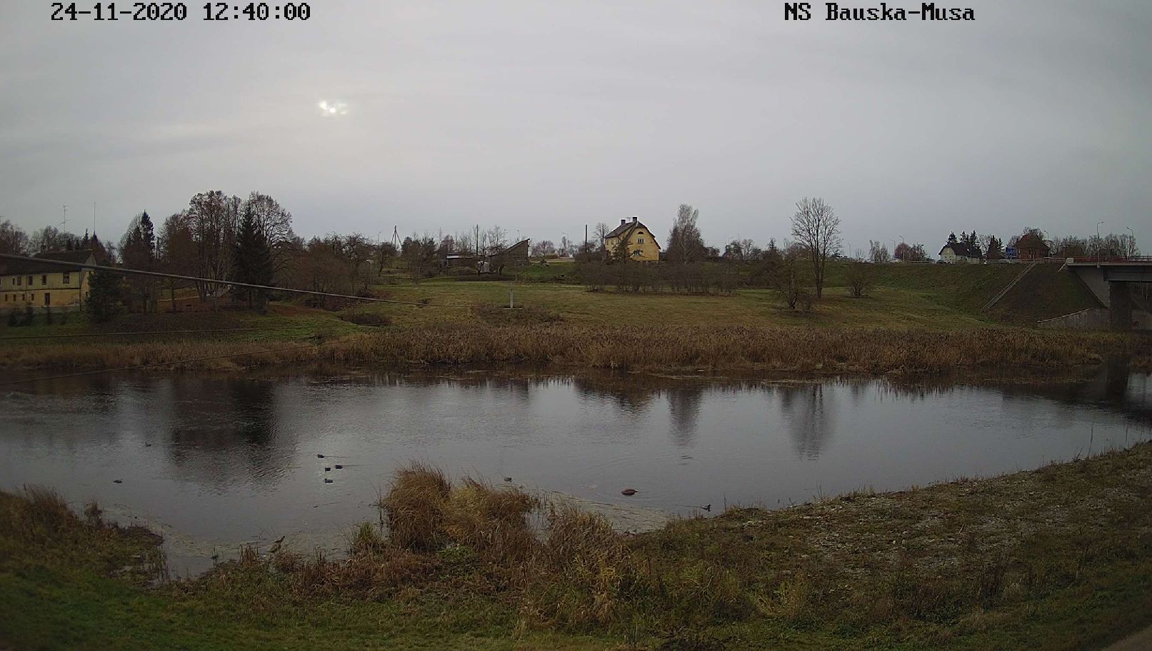 Mūsa pie Bauskas, 24.11.2020.